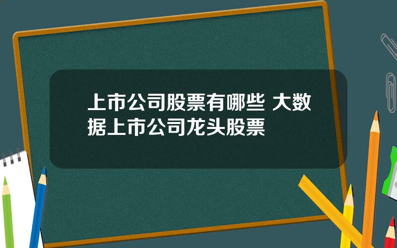 上市公司股票有哪些 大数据上市公司龙头股票